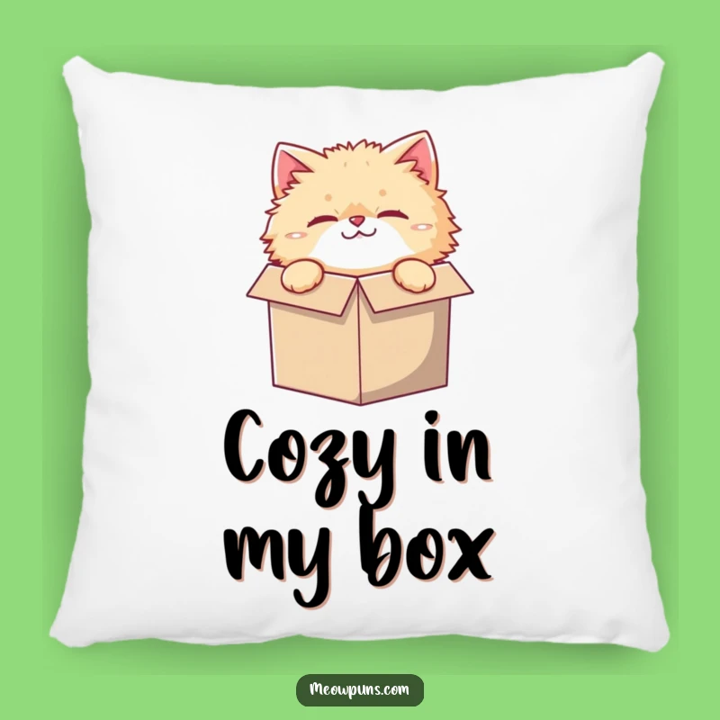 Funny Small Box Cat Pillow: Comfy Accent for Cat-Themed Spaces