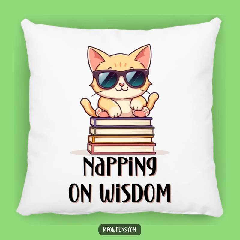 Funny Cool Cat Sunglasses Pillow: Cozy Up with Literary Coolness!